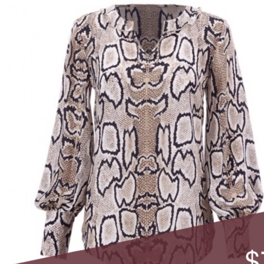 CAbi Fall 19 Serpentine Blouse size large